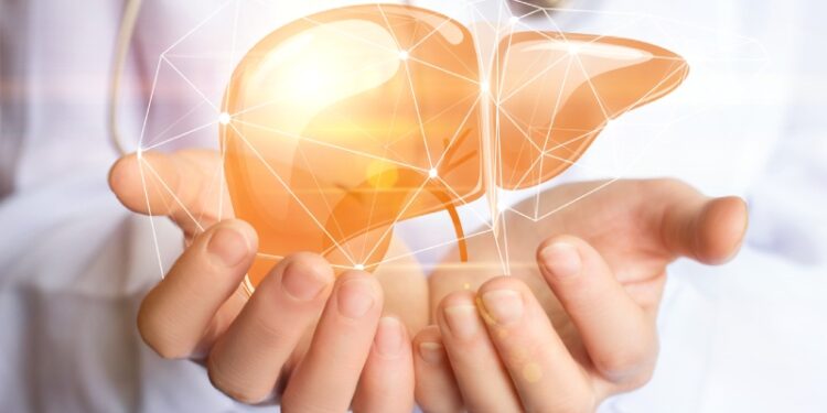 بهترین رژیم غذایی برای درمان کبد چرب چیست؟ بایدها و نبایدهای خوراکی