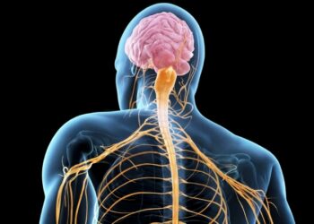 بیماری als چیست ؟ علل، علائم و درمان