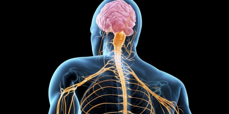 بیماری als چیست ؟ علل، علائم و درمان