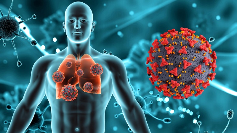 علل ابتلا به بیماری متاپنومو انسانی